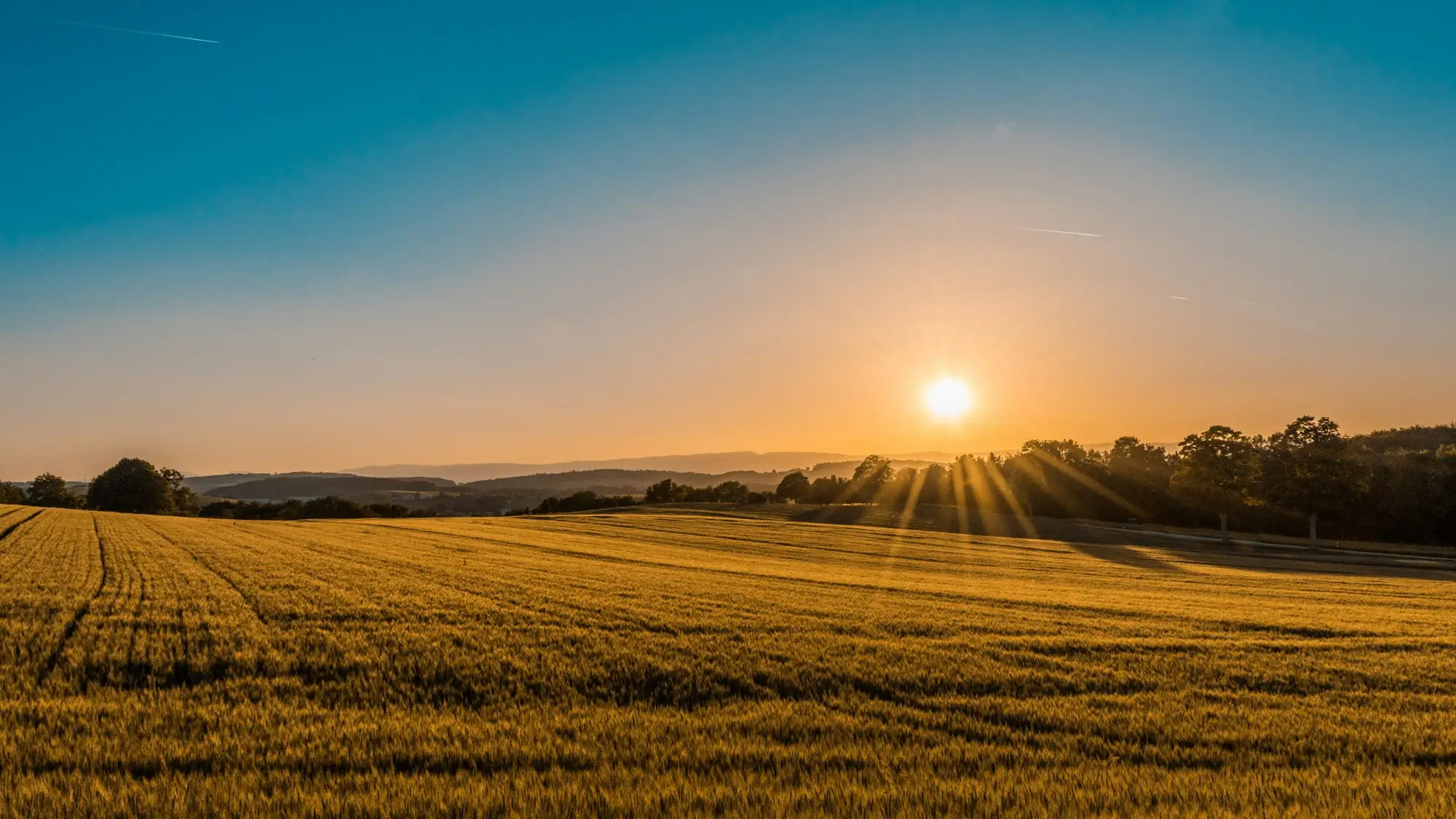Morning light over open grassland on Colorado's Front Range