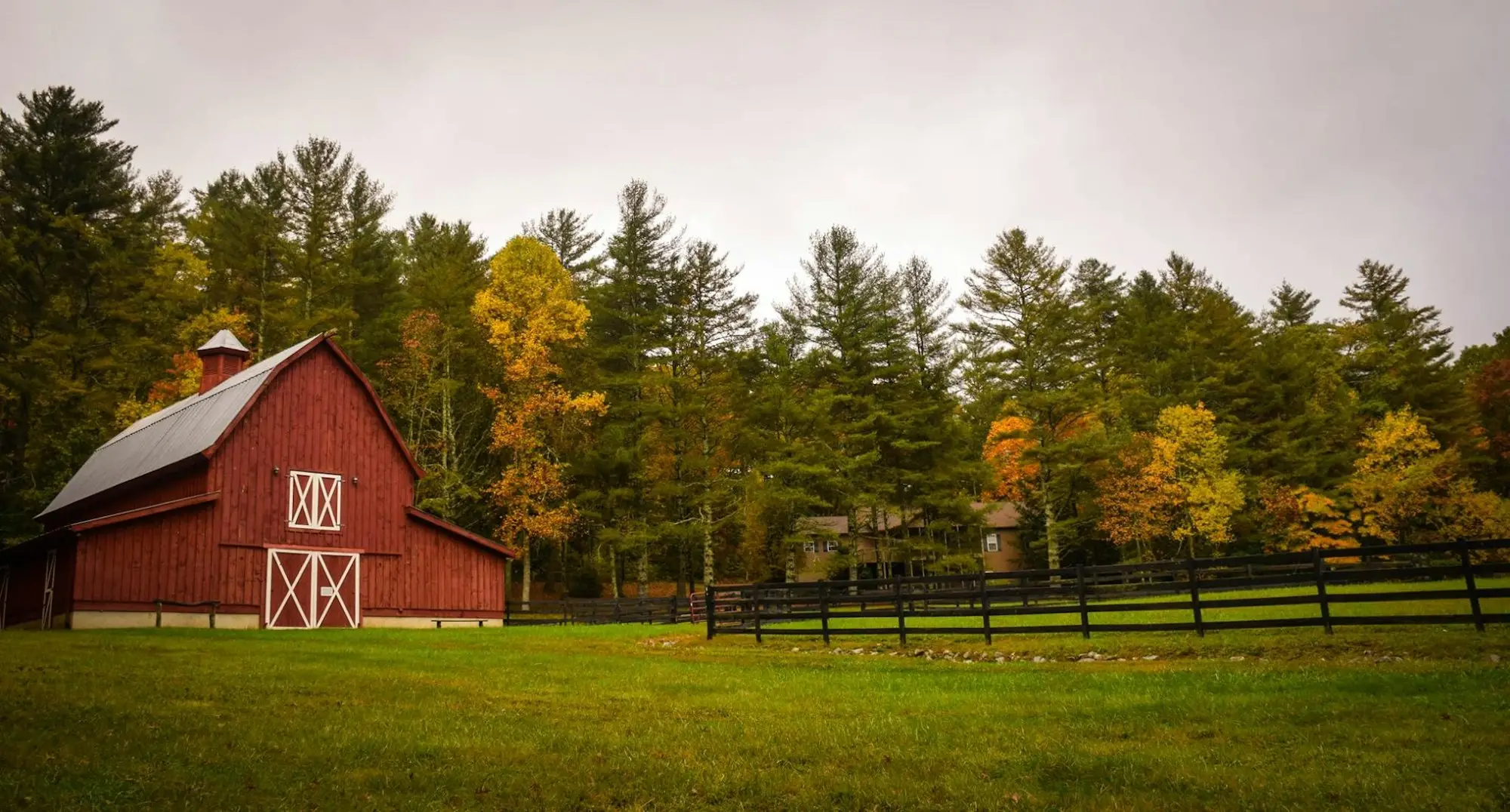 Red barn and pasture fence at the edge of a pine forest